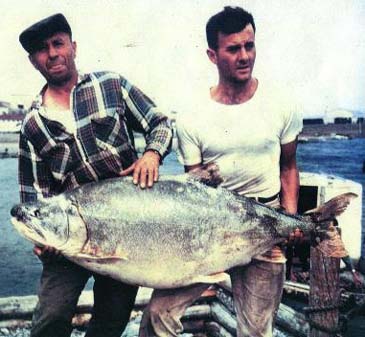 Record photograph for Salvelinus namaycush